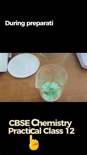 Mohr’s Salt Crystals | CBSE Chemistry Practical Class 12 Revision