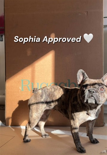 Refresh Your Home with Ruggable's Stylish Rugs