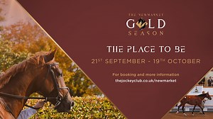 2.5K views · 40 reactions |  Introducing The Newmarket Gold Season  Featuring world-class Pattern racing and unmissable events, our town is the place to be during the coming weeks. Join us and witness history unfold. #TheGoldSeason | Newmarket Racecourses - The Home of Horseracing | Facebook