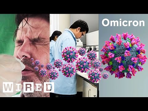 How Nose Swabs Detect New Covid-19 Strains | WIRED