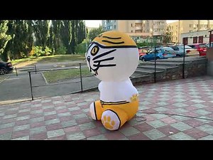 Inflatable pirate cat figure – outdoor advertising decoration with air blower