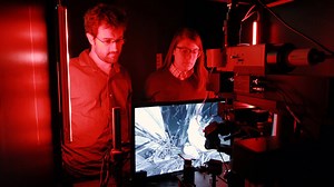 59K views · 277 reactions | To understand the brain -- we need to watch it in action as it performs the tasks that give rise to activity, perception, cognition and ultimately consciousness. It's why we've launched the Allen Brain Observatory. | Allen Institute | Facebook