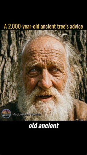 13K views · 96 reactions | Wisdom: A 2000-year-old ancient tree's advice #Life #wisdom #fblifestyle | Motivational Quotes | Facebook