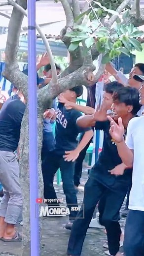 Usume lagi ngaplak bolo.. Asoyy | Boyo Areva