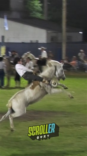 Revivimos lo mejor de la categoría Bastos con Encimera en la 43° edición de la Jineteada y Bailanta del Martín Fierro. El pasado 27 de diciembre, el campo de Maciá vibró con el nivel de estos reservados. Calidad de streaming de Scroll.er ¿Sabés quién es el jinete de esta monta? ¡Etiquetalo en los comentarios! 👇 📢 Compartí este Reel con ese amigo que no se pierde un festival. ✅ Seguí a Scroller para ver toda la cobertura de la provincia. . . . #Maciá #EntreRíos #Jineteada #BastosConEncimera #Ma