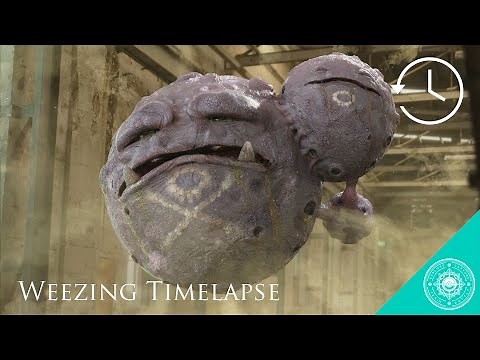 Pokemon Zoology: Weezing Timelapse