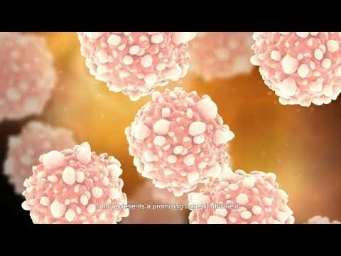 A Site-Specific B7-H3 Targeting Antibody-Drug Conjugate for Cancer Therapy