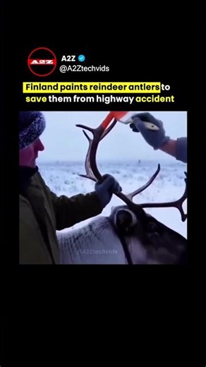 The "Glowing" Secret to Finland’s Road Safety