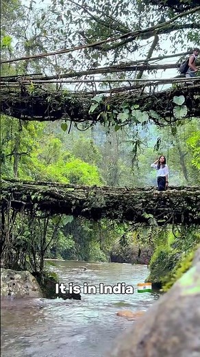 Double decker living root bridge || Cherapunji || Meghalaya