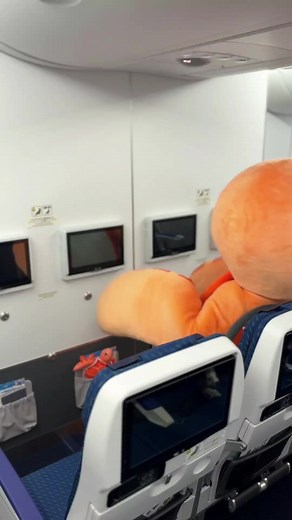 Sigma Airlines A380 Cabin Crew Experience