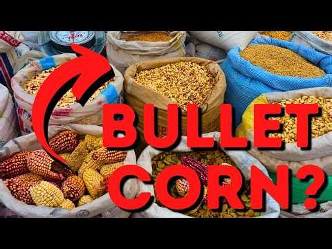 The Crops You Thought You Knew - Food of Andean Civilizations