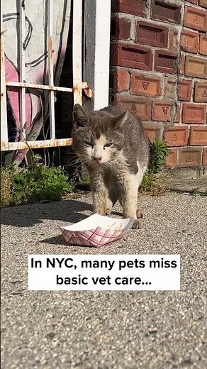 Five and Dime's Story