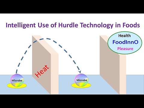 Intelligent Use of Hurdle Technology in Foods