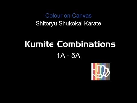 Shito-ryu Shukokai Karate: Kumite Combinations 1A - 5A