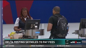 Use Your Skymiles To Pay For Baggage Fees?