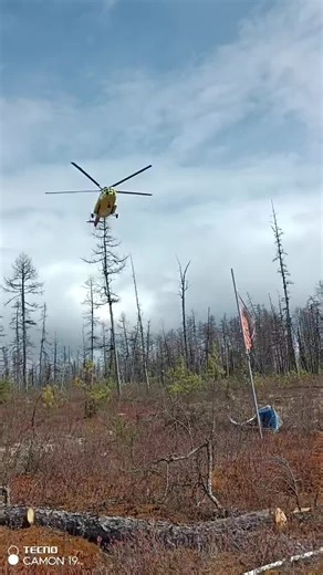 Максим (@max192530mn)’s videos with Ambient Abstract Pads and Keys - Joel_Loopez