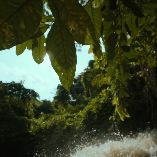 Bioman_officiel sur TikTok