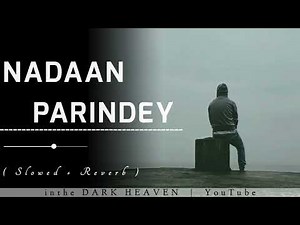 Nadaan parindey ( Slowed + Reverb ) #trending #viral #song