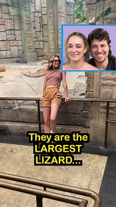 She climbed the railing at the zoo! 😱 Wes and Alison React Wes and Alison react to one of their most viral videos where Alison acts as though she wants to get closer to a Komodo Dragon at the zoo. This original video was produced by Network Media, LLC, Alison Koroly and Wes Gonzales. | Life With Wes & Alison