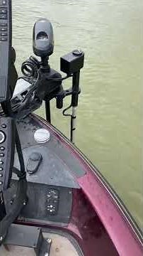 Cornfield Crappie Gear Livesweep and Double Folding Mount.