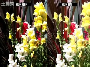 苹果新品 Apple iOS 4.1使用简介赏