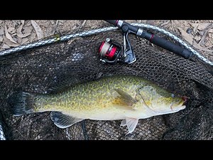 Murray Cod Fishing Basics: 5 Murray Cod Fishing Tips To Help You Catch Your First Murray Cod