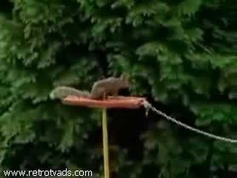 Carling Black Label (Squirrel Ad)