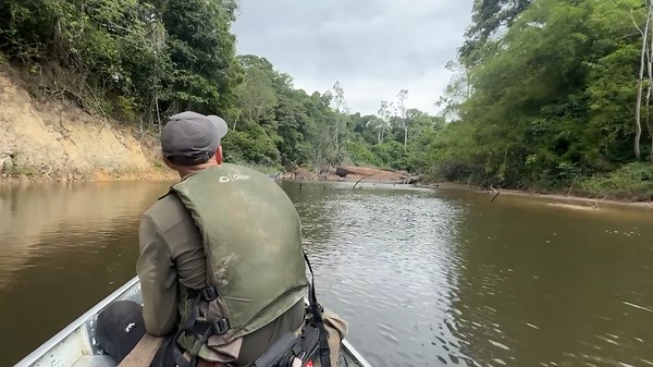 Survival 101: Tools, Tactics, and Hammocks