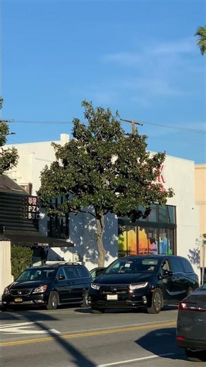 Ornithology | Red-crowned Amazon Parrot (Amazona viridigenalis)