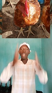 We definitely need change | UDP TV& MEDIA