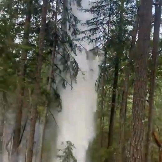 13K views · 48 reactions | We are now ACCEPTING applications for the 2025 fire season; no experience is necessary. Apply now for the following: Wildland Firefighters Wildland Fire Dispatchers Wildfire Detection Camera Operators Our interview process will begin in May, with onboarding scheduled for June. Check out our webpage, www.dfpa.net, and apply online. | Douglas Forest Protective Association | Facebook