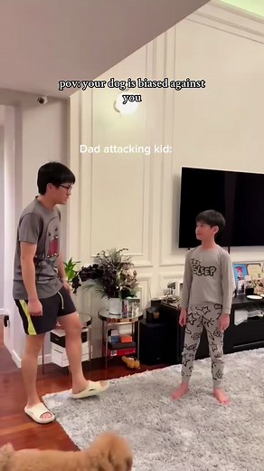 Heartfelt Moments with a Sad Poodle