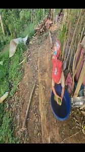 #buildings #bushcraft #harvest #outdoors #reelviralfacebook #survival #viralreelsfb #campingvibes | HarrisonOfficial