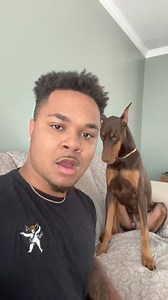 He gets so frustrated! 💀🤣 #fyp #suavexavier #knox | Animals lover