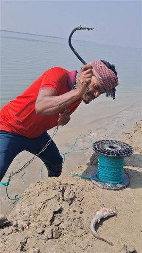 Catching Fish Using Traditional Hook And Fresh Bait #fishing #fishingmethods