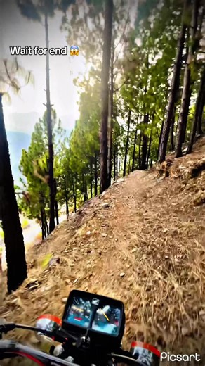 Nature's Wonders: An Exciting Track Experience