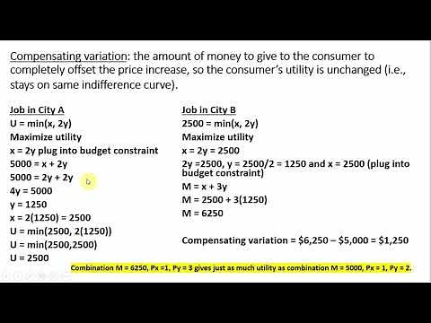 Consumer Welfare: Compensating Variation & Equivalent Variation