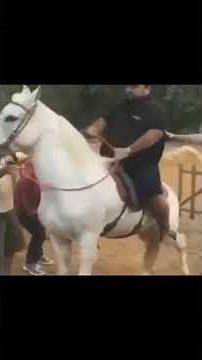 The Power of Laughter: Best Stand Up Comedy Ever