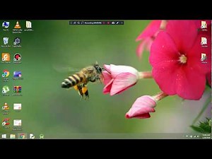 How to Install Emulator 8086 in Windows 10, 7, 8 & XP Using a Crack Version