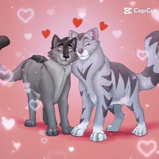 Warriors cats Silverstream x Graystripe edit 🩶🖤