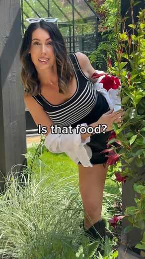 Food Ninja 🥷🏼 | Maria Corrigan