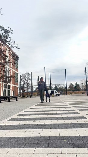 1.3K views · 156 reactions | Check out this clip of Preti (Darkmoon Farms and Kennels) working on her off leash heeling! Off leash heeling is an element of the FEMA Search and Rescue K9 Fundamental Skills Assessment, demonstrating focus, control, and confidence amidst distractions. At just under 7 months old, Preti is showing a great understanding of the exercise. | Penn Vet Working Dog Center | Facebook