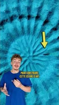 THIS FISH IS THE MOST DEVOTED IN THE ANIMAL KINGDOM 😳