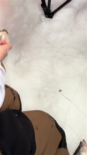 Understanding Tip-ups for Ice Fishing Success