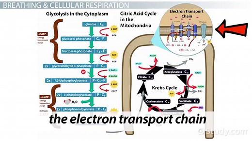 You must c C reate an account to continue watching