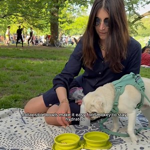 Frisco by Chewy has all the pet products you need, designed with love and made to last. | Chewy