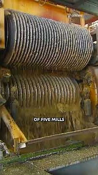 How cane sugar is made, step by step