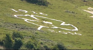 Work is underway to carve a new chalk badge into the hillside at Fovant, near Salisbury. The giant poppy commemorates the centenary of World War One. | BBC Wiltshire