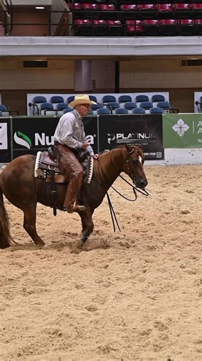 🔥 Gayle Trotter and NEAT KAT marking a 72 yesterday in the World Cutting Horse Association, LLC. NP! Congratulations, and wishing them luck today! #feelthedifference with #Myristol #JointSupport | Myristol