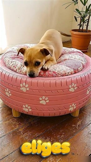 IMAGINA que tu MAMÁ le VA a CONSTRUIR una NUEVA CAMA a tu PERRITO, Cuál ELIGES para ÉL? 🛏️🐶🥰